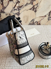 Load image into Gallery viewer, DR603 Dior Lady Embroidered Mini Bag / 20cm