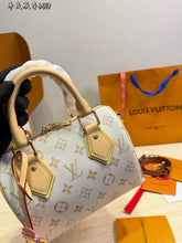 Load image into Gallery viewer, LB1499 LV Speedy 20 Calfskin Edition / 20 x 15 cm