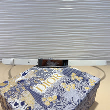 Load image into Gallery viewer, BL240 Dior Icon Belt / 17 mm