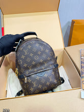 Load image into Gallery viewer, LB1489 LV Palm Springs Backpack / 20 x 11 x 30 cm