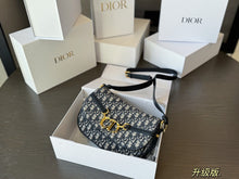 Load image into Gallery viewer, DR378 Small CD Besace Bag / 9.5x6x2.5inches