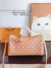 Load image into Gallery viewer, LB1081 Speedy P9 Bandoulière 40 / 15.7 x 10.2 x 9.1 inches