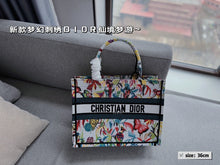 Load image into Gallery viewer, DR364 Medium/Large Dior Book Tote