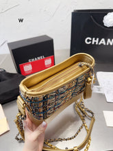 Load image into Gallery viewer, CC776 Small Gabrielle / 7.8x3.1x5.9in