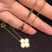 Load image into Gallery viewer, JW063