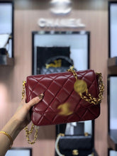 Load image into Gallery viewer, CC229 S:6.7x5.5x2.8inch M:8.3x6x2.8inch