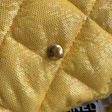 Load image into Gallery viewer, CC237 HIGHEST QUALITY VERSION S: 6.3x10.2x3.5inch M: 7.9x11.8x3.9inch