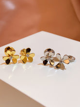 Load image into Gallery viewer, JW174