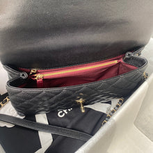 Load image into Gallery viewer, CC347 HIGHEST QUALITY VERSION S:5.5x9.5x3.9inch M:11x11.4x4.7inch