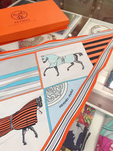 Load image into Gallery viewer, CLTH171 43x115cm