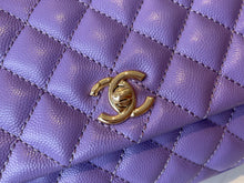 Load image into Gallery viewer, CC365 HIGHEST QUALITY VERSION S:5.5x9.5x3.9inch M:11x11.4x4.7inch