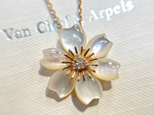 Load image into Gallery viewer, JW374