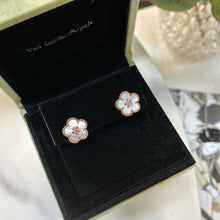 Load image into Gallery viewer, JW375