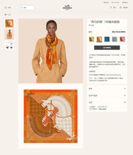 Load image into Gallery viewer, CLTH214 140x140cm 70%wool, 30% Pure Silk