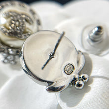 Load image into Gallery viewer, JW545