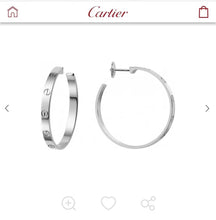 Load image into Gallery viewer, JW549 Earrings