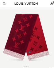 Load image into Gallery viewer, CLTH290 LB Reykjavik Scarf / 74.8 x 17.7 inches