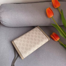 Load image into Gallery viewer, GC506 Dionysus Mini Chain Wallet / 8"W x 5"H x 2.3"D