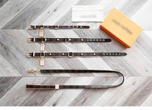 Load image into Gallery viewer, JW604 LB Dog Collar / Traction Rope