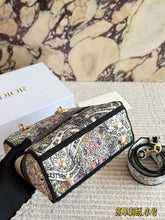 Load image into Gallery viewer, DR603 Dior Lady Embroidered Mini Bag / 20cm
