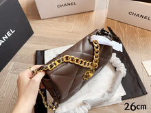 Load image into Gallery viewer, CC793 CHANEL 19 Handbag / Small/Large
