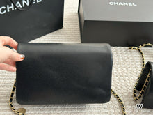 Load image into Gallery viewer, CC1067 Mini/Small Flap Bag
