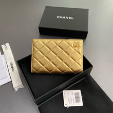 Load image into Gallery viewer, CC1151 Passport Holder / 6.1 x 3.9 x 0.8in / HIGHEST QUALITY VERSION
