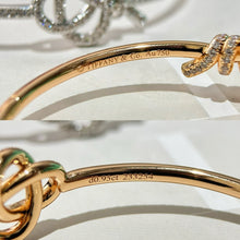 Load image into Gallery viewer, JW926 TFN Hinged Bracelet
