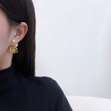 Load image into Gallery viewer, JW856 CD Earrings
