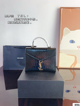 Load image into Gallery viewer, YSK369 CASSANDRA Medium Top Handle Bag / 9.6 x 7.8 x 4.5 INCHES
