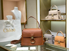 Load image into Gallery viewer, CLE013 Mini/Medium Tess Day Bag / HIGHEST QUALITY VERSION
