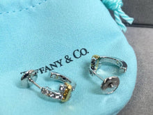 Load image into Gallery viewer, JW970 Tiffany &amp; Co. Earrings
