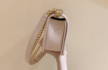 Load image into Gallery viewer, CC251 HIGHEST QUALITY VERSION S:7.9x3.9inch   M:9.8x5.5x3.5inch
