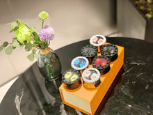 Load image into Gallery viewer, JW252  Wireless Bluetooth headset.
