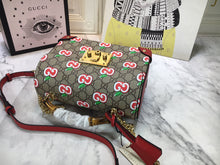 Load image into Gallery viewer, GC353   9.5x6.7x3.9inch
