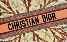 Load image into Gallery viewer, DR214  HIGHEST QUALITY VERSION  S:14.4x11x6.9inch
