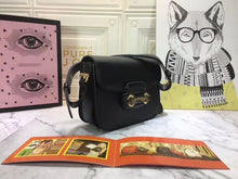 Load image into Gallery viewer, GC066   9.8x7.1x3.1
