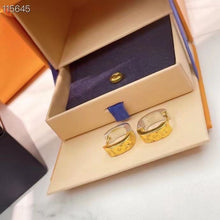 Load image into Gallery viewer, JW634 LB Nanogram Earrings
