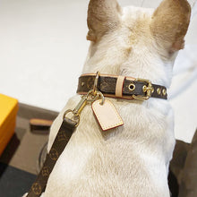 Load image into Gallery viewer, JW604 LB Dog Collar / Traction Rope
