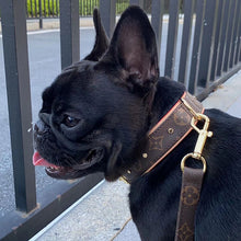 Load image into Gallery viewer, JW604 LB Dog Collar / Traction Rope
