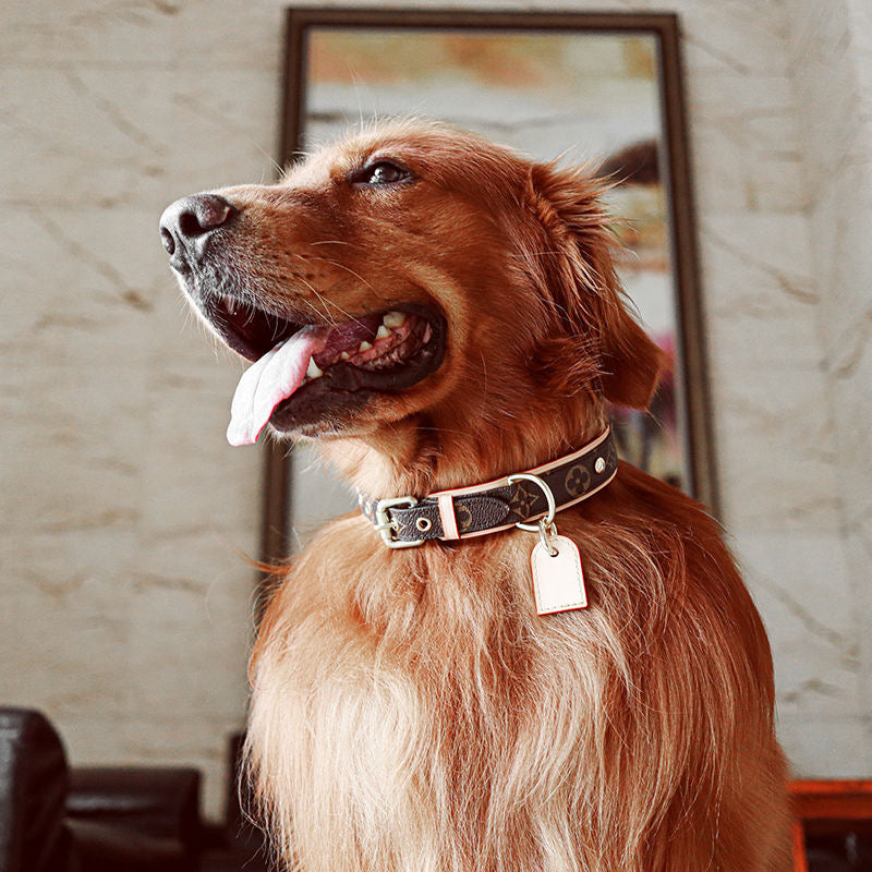 JW604 LB Dog Collar / Traction Rope