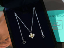 Load image into Gallery viewer, JW691 Tiffany Schlumberger Neacklaces
