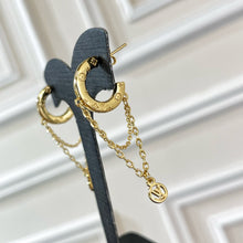 Load image into Gallery viewer, JW662 LB Nanogram Earrings
