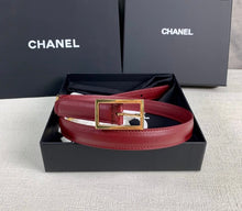 Load image into Gallery viewer, BL177 CC Belt / 250mm
